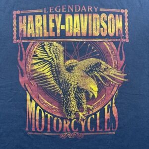 Harley-Davidson Shirt Mens Large Gray Eagle Brunswick Troy NY Motorcycle Tee